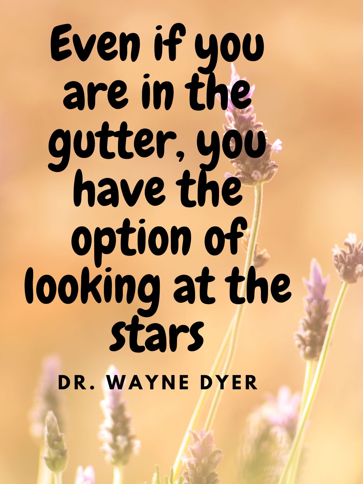 A quote by Dr. Wayne Dyer. Even if You are in the gutter, you have the option of looking at the stars. 