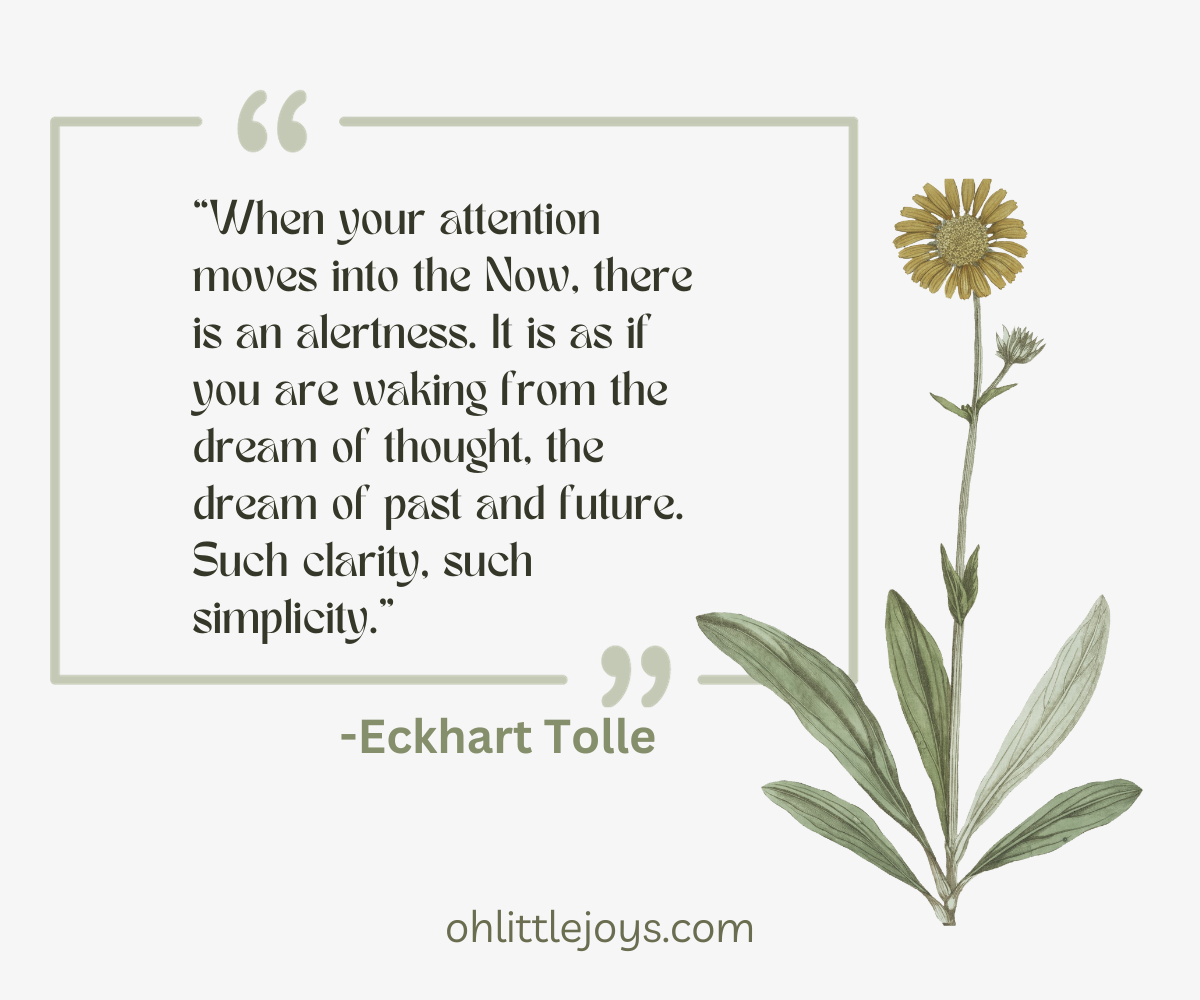 When your attention moves into the Now, there is alertness. It is as if you are waking from the dream of thought. The dream of past and future. Such clarity, such simplicity. - Eckhart Tolle