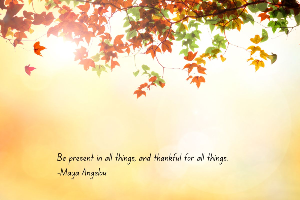 A picture of autumn leaves with words:
Be present in all things and thankful for all things- Maya Angelou